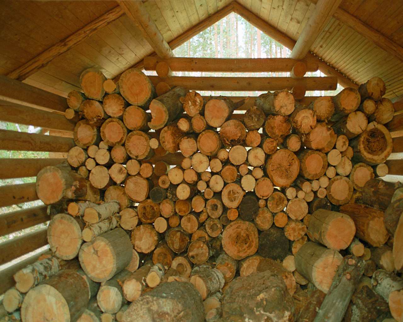 Types of Wood Firewood
